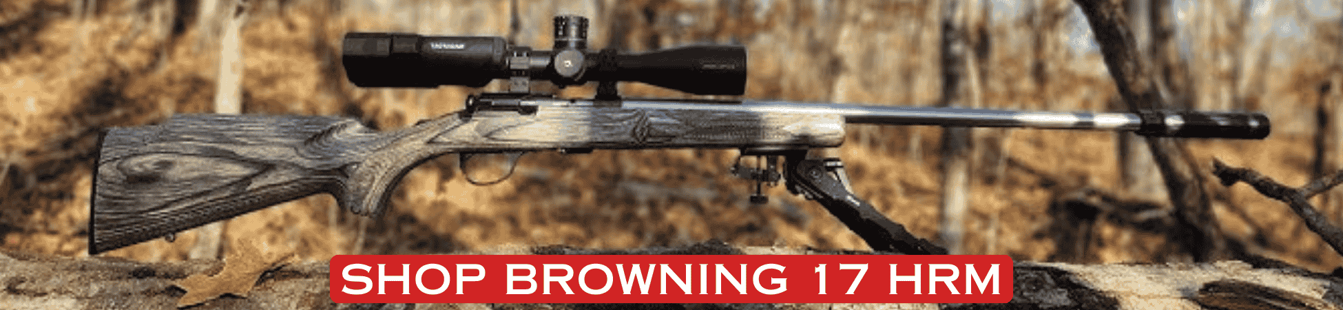 Browning 17 HRM Rimfire Banner