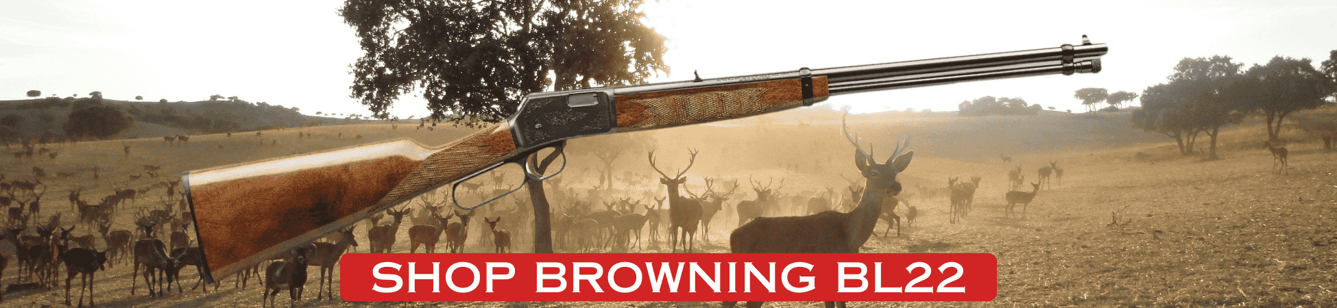 Browning BL22 Rimfire Banner