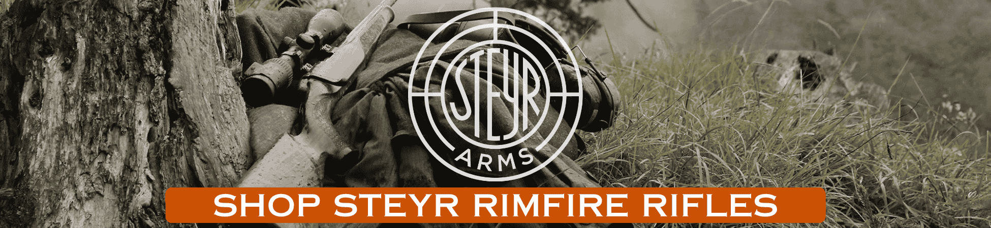 Steyr Rimfire Banner