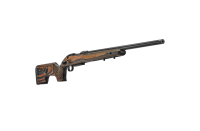 CZ600223RANGE.tag.2