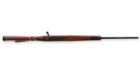 VanguardSporter_Bottom-1200x675-1